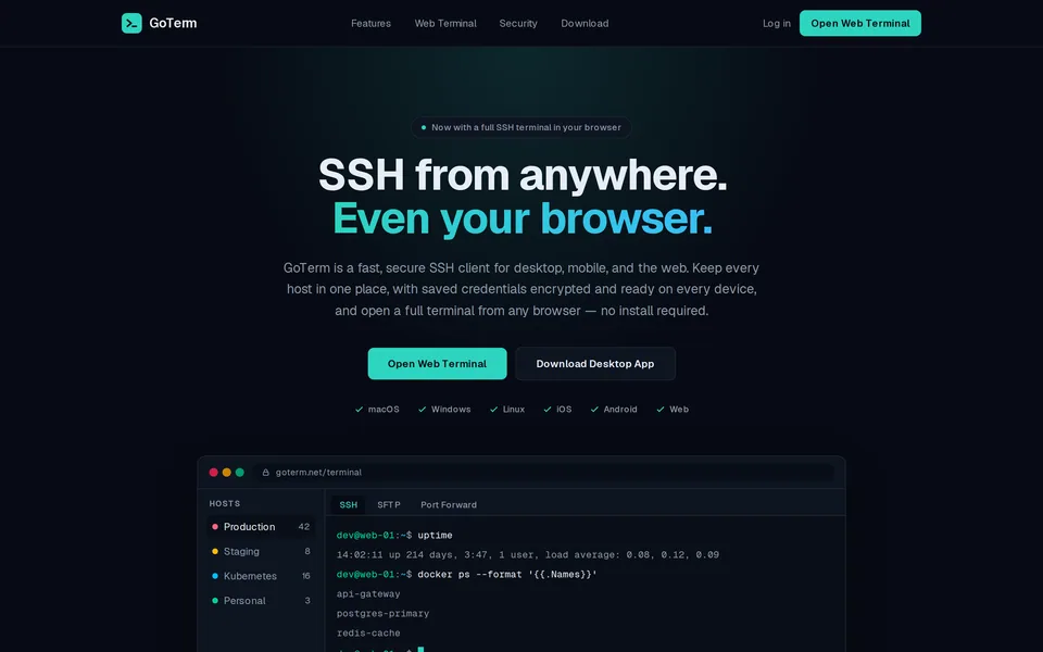 The GoTerm home page, with a web terminal connected to a production host