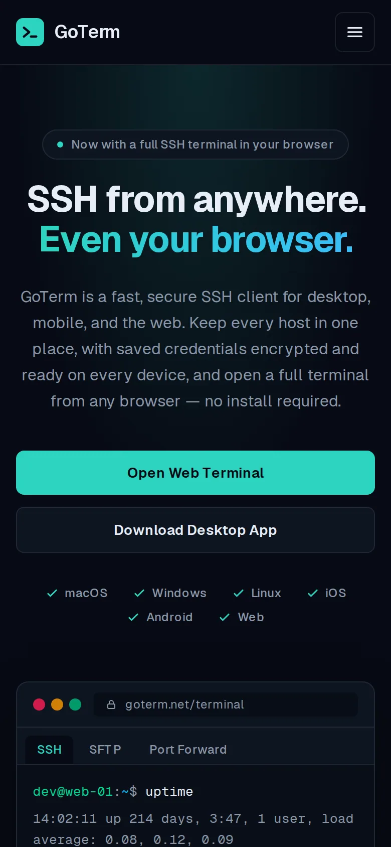 The GoTerm home page on a phone